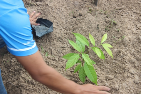ไฟล์แนบ กปภ.สาขาบ้านบึง ร่วมโครงการ กปภ.ปลูกป่าเพื่อแผ่นดินฯ