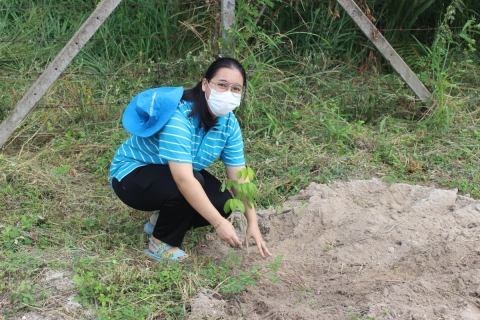 ไฟล์แนบ กปภ.สาขาบ้านบึง ร่วมโครงการ กปภ.ปลูกป่าเพื่อแผ่นดินฯ