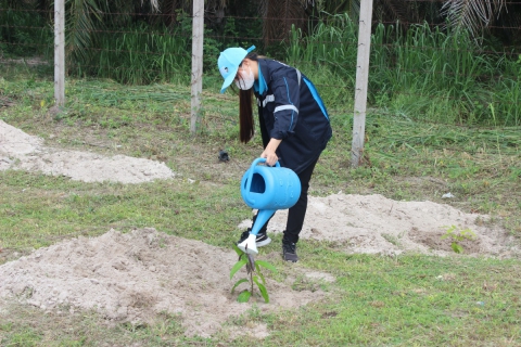 ไฟล์แนบ กปภ.สาขาบ้านบึง ร่วมโครงการ กปภ.ปลูกป่าเพื่อแผ่นดินฯ