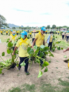 ไฟล์แนบ กปภ.สาขากาญจนบุรี ดำเนินโครงการรวมพลังจิตอาสา กปภ. เฉลิมพระเกียรติ