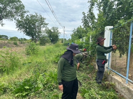 ไฟล์แนบ กปภ.สาขาท่ามะกา ทำกิจกรรม 5 ส. ภายในพื้นที่บริเวณสถานีผลิตน้ำท่าม่วง ปรับภูมิทัศน์ ทำความสะอาด ตัดแต่งต้นไม้ ตัดหญ้า ฯลฯ เพื่อสร้างภาพลักษณ์ที่ดีของหน่วยงาน ให้มีความน่าอยู่ และปลอดภัย วันที่ 20-21 มิถุนายน 2566