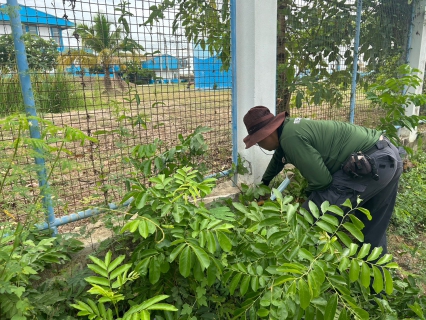 ไฟล์แนบ กปภ.สาขาท่ามะกา ทำกิจกรรม 5 ส. ภายในพื้นที่บริเวณสถานีผลิตน้ำท่าม่วง ปรับภูมิทัศน์ ทำความสะอาด ตัดแต่งต้นไม้ ตัดหญ้า ฯลฯ เพื่อสร้างภาพลักษณ์ที่ดีของหน่วยงาน ให้มีความน่าอยู่ และปลอดภัย วันที่ 20-21 มิถุนายน 2566