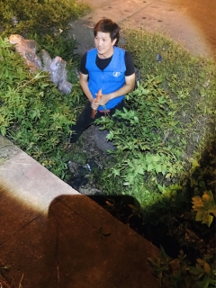 ไฟล์แนบ กปภ.สาขากระบี่ ดำเนินงานตามแผนบริหารจัดการน้ำสูญเสียเชิงรุก เดินหน้าลงพื้นที่ ทำ Step Test พื้นที่ DM-04-01  ทางเข้าวัดถ้ำเสือ ตำบลกระบี่น้อย อำเภอเมือง  จังหวัดกระบี่ เพื่อลดการเกิดน้ำสูญเสีย 