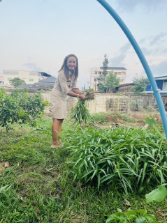 ไฟล์แนบ การประปาส่วนภูมิภาคสาขาชุมพร ร่วมมือสร้างความสัมพันธ์ ดำเนินกิจกรรม "ผักสวนครัว รั้วกินได้"