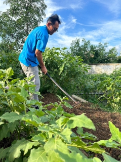 ไฟล์แนบ การประปาส่วนภูมิภาคสาขาชุมพร ร่วมมือสร้างความสัมพันธ์ ดำเนินกิจกรรม "ผักสวนครัว รั้วกินได้"
