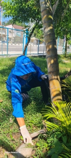 ไฟล์แนบ การประปาส่วนภูมิภาคสาขาทุ่งสง จัดกิจกรรม Big Cleaning Day 