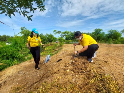 ไฟล์แนบ กปภ.สาขารังสิต(พ) พร้อมกปภ.สาขาในพื้นที่ จ.ปทุมธานี ร่วมกิจกรรมจิตอาสาพัฒนาพื้นที่โครงการ โคก หนอง นา สัปปายะและรมณียสถาน สถานปฏิบัติธรรม สมเด็จพระสังฆราช (อมฺพรมหาเถร) เนื่องในโอกาสสมเด็จพระอริยวงศาคตญาณ สมเด็จพระสังฆราช สกลมหาสังฆปริณายก ทรงเจริญพระชนมายุครบ 8 รอบ 96 พรรษา
