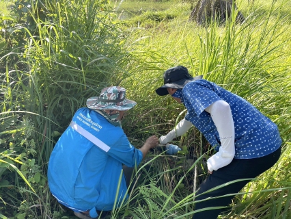ไฟล์แนบ กปภ.สาขาขลุง ออกสำรวจหาท่อรั่วในพื้นที่ตามแผน MM05 สถานีผลิตน้ำพลิ้ว จ่ายพื้นที่บางสระเก้า บริเวณ ม.2,3,4,5 ต.บางสระเก้า อ.แหลมสิงห์ จ.จันทบุรี