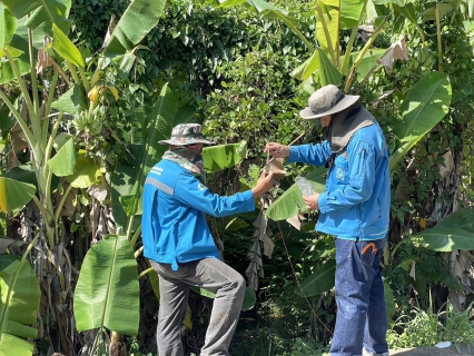 ไฟล์แนบ กปภ.สาขาขลุง ออกสำรวจหาท่อรั่วในพื้นที่ตามแผน MM05 สถานีผลิตน้ำพลิ้ว จ่ายพื้นที่บางสระเก้า บริเวณ ม.2,3,4,5 ต.บางสระเก้า อ.แหลมสิงห์ จ.จันทบุรี