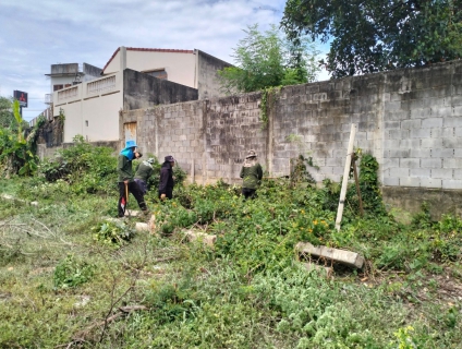 ไฟล์แนบ กปภ.สาขาท่ามะกา ทำกิจกรรม 5 ส. ภายในพื้นที่บริเวณสถานีจ่ายน้ำลูกแก ปรับภูมิทัศน์ ทำความสะอาด ตัดแต่งต้นไม้ ตัดหญ้า ฯลฯ เพื่อสร้างภาพลักษณ์ที่ดีของหน่วยงาน ให้มีความน่าอยู่ และปลอดภัย วันที่ 26 มิถุนายน 2566