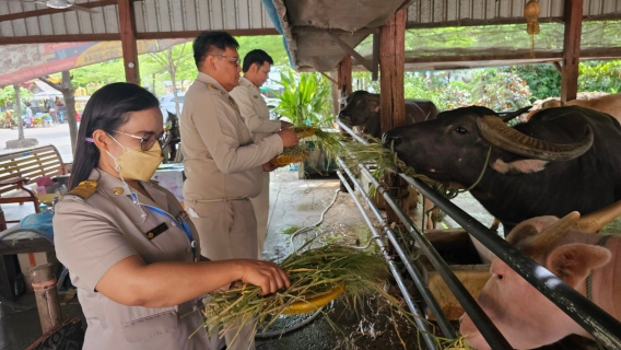 ไฟล์แนบ กปภ.สาขาธัญบุรี ร่วมทำบุญถวายพระกุศลสมเด็จพระอริยวงศาคตญาณ สมเด็จพระสังฆราช สกลมหาสังฆปริณายก เนื่องในโอกาสฉลองพระชนมายุ ๘ รอบ ๒๖ มิถุนายน ๒๕๖๖