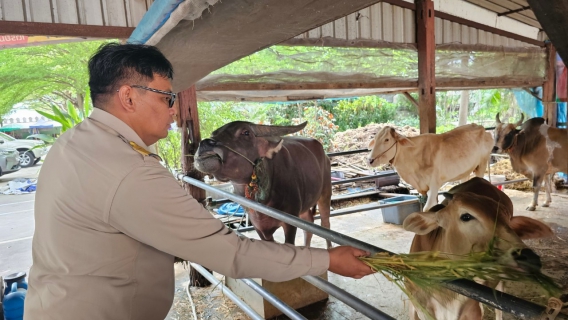 ไฟล์แนบ กปภ.สาขาธัญบุรี ร่วมทำบุญถวายพระกุศลสมเด็จพระอริยวงศาคตญาณ สมเด็จพระสังฆราช สกลมหาสังฆปริณายก เนื่องในโอกาสฉลองพระชนมายุ ๘ รอบ ๒๖ มิถุนายน ๒๕๖๖