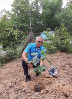 ไฟล์แนบ กปภ.สาขาเขมราฐ จัดกิจกรรม  กปภ.ปลูกป่าเพื่อแผ่นดิน เทิดพระเกียรติ ปี 2566