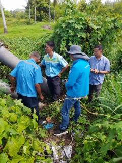 ไฟล์แนบ วันอังคารที่ 27 มิถุนายน 2566 การประปาส่วนภูมิภาคสาขากาญจนดิษฐ์ ภายใต้การบริหารงานโดย นายสุรพงศ์ สมหวัง ผู้จัดการการประปาส่วนภูมิภาคสาขากาญจนดิษฐ์ มอบหมายนายฤทธิเดช อินทวงศ์ หัวหน้างาน 8 งานบริการและควบคุมน้ำสูญเสีย และพนักงานในสังกัด ลงพื้นที่สำรวจ หาท่อแตกท่อรั่ว บริเวณตำบลตะเคียนทอง และตำบลทุ่งกง อำเภอกาญจนดิษฐ์ เพื่อลดน้ำสูญเสียในระบบจำหน่ายและเพิ่มแรงดันในเส้นท่อ เป็นการให้บริการน้ำประปาอย่างเต็มประสิทธิภาพตามมาตรฐานของ กปภ.