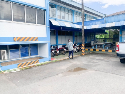 ไฟล์แนบ กปภ.สาขาตราด ดำเนินการฉีดพ่นหมอกควันกำจัดยุงลาย เพื่อป้องกันการแพร่กระจายของยุงลาย และป้องกันการระบาดของโรคไข้เลือดออก 