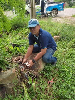 ไฟล์แนบ การประปาส่วนภูมิภาคสาขาคลองท่อมลงพื้นที่​เพื่อดำเนินการตรวจวัดแรงดันน้ำ บริเวณพื้นที่ตำบลห้วยน้ำขาว อำเภอคลองท่อม จังหวัดกระบี่