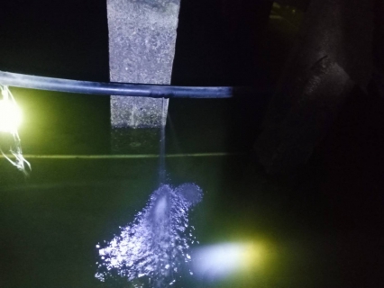 ไฟล์แนบ กปภ.สาขาปากพนัง ลงพื้นที่เดินสำรวจหาท่อแตก/ท่อรั่ว จากการทำ step test ตามแผนลดน้ำสูญเสีย บริเวณพื้นที่ชุมชนวัดหูล่อง-ซอยสุนอนันต์ 4 ต.ปากพนังฝั่งตะวันตก อ.ปากพนัง จ.นครศรีธรรมราช 