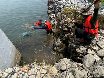 ไฟล์แนบ กปภ.สาขาท่ามะกา ดำเนินกิจกรรม โครงการรวมพลังจิตอาสา กปภ.เฉลิมพระเกียรติ ปี 2566  วันศุกร์ที่ 30 มิถุนายน 2566 