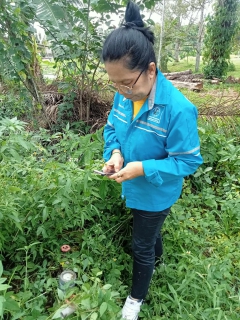 ไฟล์แนบ การประปาส่วนภูมิภาคสาขาท่าแซะ ดำเนินการสุ่มการอ่านมาตรวัดน้ำ ผ่านระบบระบบแผนที่และการสุ่มอ่านมาตร ( Map and meter random check ) ประจำเดือนมิถุนายน 2566 