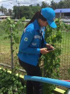 ไฟล์แนบ การประปาส่วนภูมิภาคสาขาท่าแซะ ดำเนินการสุ่มการอ่านมาตรวัดน้ำ ผ่านระบบระบบแผนที่และการสุ่มอ่านมาตร ( Map and meter random check ) ประจำเดือนมิถุนายน 2566 