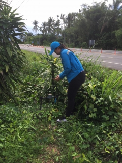 ไฟล์แนบ การประปาส่วนภูมิภาคสาขาท่าแซะ ดำเนินการสุ่มการอ่านมาตรวัดน้ำ ผ่านระบบระบบแผนที่และการสุ่มอ่านมาตร ( Map and meter random check ) ประจำเดือนมิถุนายน 2566 