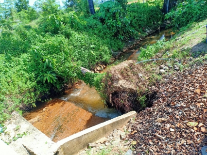 ไฟล์แนบ การประปาส่วนภูมิภาคสาขาตะกั่วป่า ลงพื้นที่สำรวจออกแบบย้ายแนวท่อ แก้ไขปัญหาการระบายน้ำ บริเวณสองข้างทางของถนนเพชรเกษม ตำบลคึกคัก อำเภอตะกั่วป่า (ตรงข้ามหนองมูลตะกั่ว)