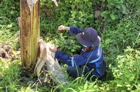 ไฟล์แนบ กปภ.สาขาขลุง ออกสำรวจหาท่อรั่วในพื้นที่ตามแผน MM08 สถานีผลิตน้ำพลิ้ว จ่ายพื้นที่ตำบลหนองชิ่ม-เกาะเปริด-บางชัน บริเวณเส้นทางไปบางชันถึงหมู่บ้านน้ำแดง