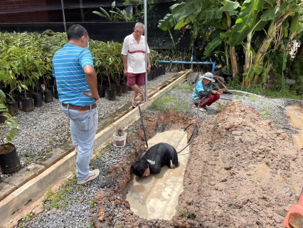 ไฟล์แนบ กปภ.สาขาขลุง ออกสำรวจหาท่อรั่วในพื้นที่ตามแผน MM04 จุดซื้อขาย สถานีจ่ายน้ำดงกลาง จ่ายพื้นที่ตำบลบ่อและตำบลวันยาว พร้อมระบายตะกอนในเส้นท่อปลายสาย หมู่4 ตำบลวันยาว