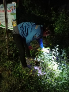 ไฟล์แนบ   กปภ.สาขาปากพนัง ลงพื้นที่เดินสำรวจหาท่อแตก/ท่อรั่ว จากการทำ step test ในพื้นที่ DM-01-01-01 ตามแผนลดน้ำสูญเสีย บริเวณพื้นที่ ต.บางศาลา,ต.ป่าระกำ,ต.บ้านใหม่ อ.ปากพนัง จ.นครศรีธรรมราช 