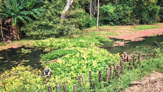 ไฟล์แนบ การประปาส่วนภูมิภาคสาขากุยบุรี งานผลิต ดำเนินการกำจัดวัชพืชตามโครงการจัดการน้ำสะอาด (WSP)