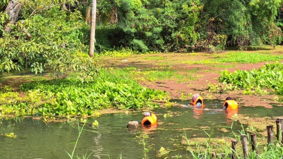 ไฟล์แนบ การประปาส่วนภูมิภาคสาขากุยบุรี งานผลิต ดำเนินการกำจัดวัชพืชตามโครงการจัดการน้ำสะอาด (WSP)