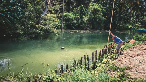 ไฟล์แนบ การประปาส่วนภูมิภาคสาขากุยบุรี งานผลิต ดำเนินการกำจัดวัชพืชตามโครงการจัดการน้ำสะอาด (WSP)