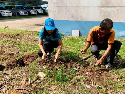 ไฟล์แนบ การการประปาส่วนภูมิภาคสาขาไชยา จัดกิจกรรม "ปลูกผักสวนครัว เศรษฐกิจพอเพียง" 