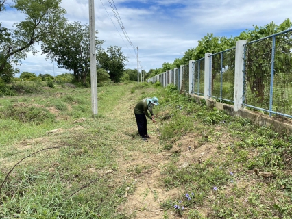 ไฟล์แนบ กปภ.สาขาท่ามะกา ทำกิจกรรม 5 ส. ภายในพื้นที่บริเวณสถานีผลิตน้ำท่าม่วง ปรับภูมิทัศน์ ทำความสะอาด ตัดแต่งต้นไม้ ตัดหญ้า ฯลฯ เพื่อสร้างภาพลักษณ์ที่ดีของหน่วยงาน ให้มีความน่าอยู่ และปลอดภัย วันที่ 25 กรกฏาคม 2566