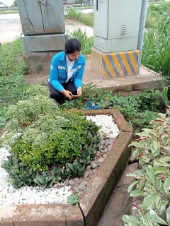 ไฟล์แนบ การประปาส่วนภูมิภาคสาขาท่าแซะ ดำเนินการสุ่มการอ่านมาตรวัดน้ำ ผ่านระบบระบบแผนที่และการสุ่มอ่านมาตร ( Map and meter random check ) ประจำเดือนกรกฎาคม 2566