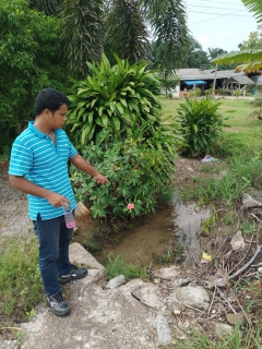 ไฟล์แนบ การประปาส่วนภูมิภาคสาขาคลองท่อมลงพื้นที่สำรวจหาท่อแตกรั่ว บริเวณพื้นที่ตำบลลำทับ อำเภอลำทับ จังหวัดกระบี่