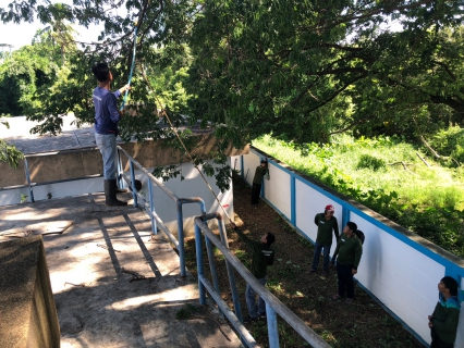 ไฟล์แนบ กปภ.สาขาท่ามะกา ทำกิจกรรม 5 ส. ภายในพื้นที่บริเวณสถานีจ่ายน้ำลูกแก ปรับภูมิทัศน์ ทำความสะอาด ตัดแต่งต้นไม้ ตัดหญ้า ฯลฯ เพื่อสร้างภาพลักษณ์ที่ดีของหน่วยงาน ให้มีความน่าอยู่ และปลอดภัย วันที่ 27 กรกฏาคม 2566 