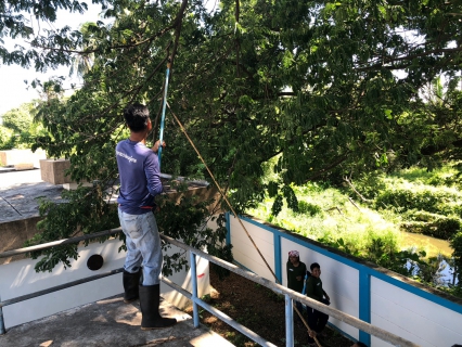 ไฟล์แนบ กปภ.สาขาท่ามะกา ทำกิจกรรม 5 ส. ภายในพื้นที่บริเวณสถานีจ่ายน้ำลูกแก ปรับภูมิทัศน์ ทำความสะอาด ตัดแต่งต้นไม้ ตัดหญ้า ฯลฯ เพื่อสร้างภาพลักษณ์ที่ดีของหน่วยงาน ให้มีความน่าอยู่ และปลอดภัย วันที่ 27 กรกฏาคม 2566 