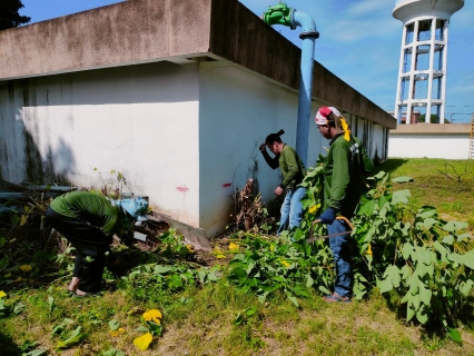 ไฟล์แนบ กปภ.สาขาท่ามะกา ทำกิจกรรม 5 ส. ภายในพื้นที่บริเวณสถานีจ่ายน้ำลูกแก ปรับภูมิทัศน์ ทำความสะอาด ตัดแต่งต้นไม้ ตัดหญ้า ฯลฯ เพื่อสร้างภาพลักษณ์ที่ดีของหน่วยงาน ให้มีความน่าอยู่ และปลอดภัย วันที่ 27 กรกฏาคม 2566 