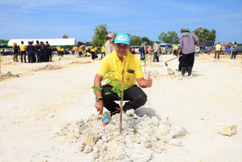 ไฟล์แนบ กปภ.สาขาระยอง ร่วมกิจกรรมปลูกป่าบกเฉลิมพระเกียรติฯ ร.๑๐