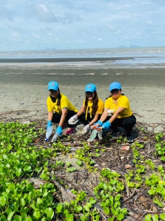 ไฟล์แนบ ร่วมเก็บขยะ