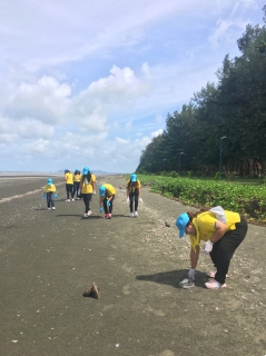 ไฟล์แนบ ร่วมเก็บขยะ