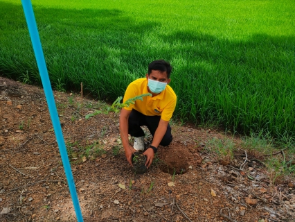 ไฟล์แนบ กปภ.สาขาตะพานหิน ร่วมกิจกรรมจิตอาสาเฉลิมพระเกียรติพระบาทสมเด็จพระเจ้าอยู่หัว เนื่องในโอกาสวันเฉลิมพระชนมพรรษา 28 กรกฎาคม 2566