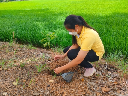 ไฟล์แนบ กปภ.สาขาตะพานหิน ร่วมกิจกรรมจิตอาสาเฉลิมพระเกียรติพระบาทสมเด็จพระเจ้าอยู่หัว เนื่องในโอกาสวันเฉลิมพระชนมพรรษา 28 กรกฎาคม 2566