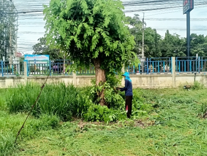 ไฟล์แนบ กปภ.สาขาท่ามะกา ทำกิจกรรม 5 ส. ภายในพื้นที่บริเวณสถานีจ่ายน้ำลูกแก ปรับภูมิทัศน์ ทำความสะอาด ตัดแต่งต้นไม้ ตัดหญ้า ฯลฯ เพื่อสร้างภาพลักษณ์ที่ดีของหน่วยงาน ให้มีความน่าอยู่ และปลอดภัย วันที่ 7 สิงหาคม 2566