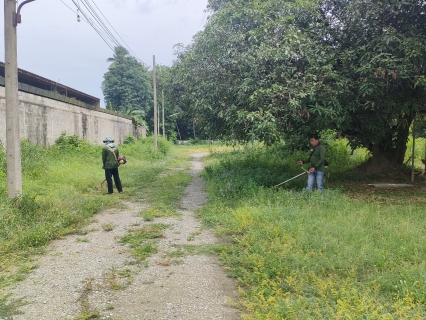 ไฟล์แนบ กปภ.สาขาท่ามะกา ทำกิจกรรม 5 ส. ภายในพื้นที่บริเวณสถานีจ่ายน้ำลูกแก ปรับภูมิทัศน์ ทำความสะอาด ตัดแต่งต้นไม้ ตัดหญ้า ฯลฯ เพื่อสร้างภาพลักษณ์ที่ดีของหน่วยงาน ให้มีความน่าอยู่ และปลอดภัย วันที่ 7 สิงหาคม 2566