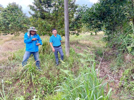 ไฟล์แนบ กปภ.สาขาขลุง ออกสำรวจหาท่อรั่วในพื้นที่ตามแผน MM04 BULK SELL 02 สถานีจ่ายน้ำดงกลาง จ่ายพื้นที่ ต.บ่อ ต.วันยาว บริเวณ ม.1,3,4,6,9 ต.บ่อ