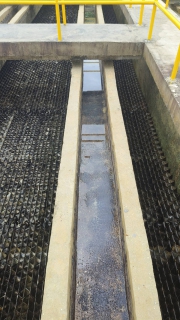 ไฟล์แนบ กปภ.สาขาภูเก็ต ดำเนินการล้างถังตกตะกอน ภายใต้โครงการ บริหารจัดการน้ำสะอาด Water Safety Plan ณ สถานีผลิตน้ำคลองกะทะ