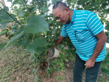 ไฟล์แนบ กปภ.สาขาสวรรคโลก จัดกิจกรรมทำลายแหล่งเพาะพันธุ์ลูกน้ำยุงลาย และยุงลายแก่ตัว