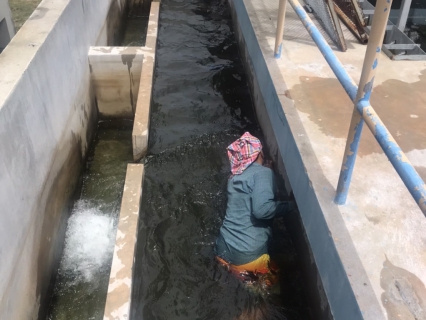 ไฟล์แนบ การประปาส่วนภูมิภาคสาขากุยบุรี ดำเนินการล้างถังตกตะกอนโรงกรองน้ำ 400 ลบม./ชม.ตามแนวทางการดำเนินการโครงการจัดการน้ำสะอาด (WSP) ประจำเดือนสิงหาคม 2566